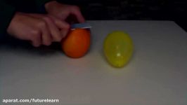 Popping Balloon With Orange