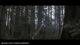 Rambo First Blood 1982  Forest Hunt Scene 1080p FULL HD