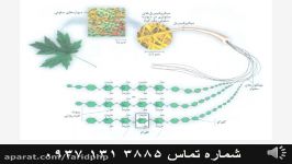 آموزش فصل 1 زیست شناسی سال دوم دبیرستان قسمت ششم