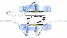 Metrohm Inline Sample Preparation