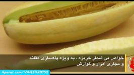 فواید خربزه خوردن برای انسان