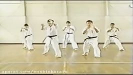 Enshin Karate  The blind spot and the four basic positions