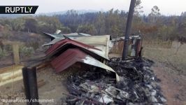 Devastated forests in Portugal Blaze left 64 dead