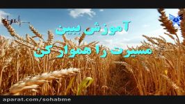 همکاری موسسه آموزشی سها دانشگاه آزاد واحد تهران جنوب