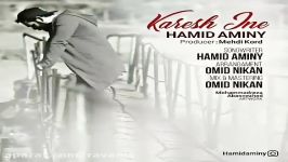 hamid amini karesh ine