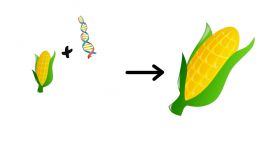 What is Genetic Engineering