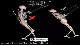 فلای معکوس بند تی آر ایکس Trx reverse fly