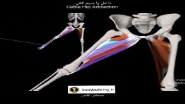 داخل پا ایستاده سیم کش Cable hip adduction