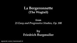 Burgmüller The Wagtail Op. 100 No. 11  Cory Hall pianist composer