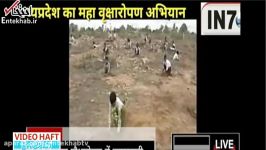 فیلم رکورد درختکاری در هند؛ کاشت ۶۶ میلیون نهال در...