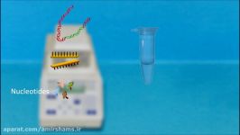 PCR  Polymerase Chain Reaction IQOG CSIC