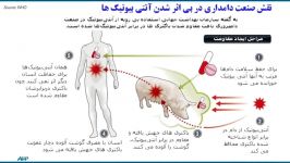 بعد خوردن هر آنتی بیوتیکی باید حتما این کار را انجام دهید