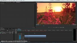 How to Create a Gaussian Blur Effect in Premiere Pro