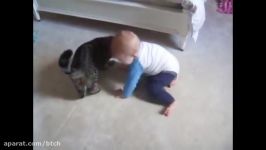 Amazing Cat protecting babies