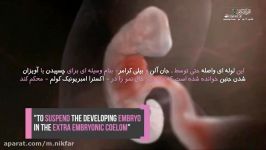 امبریولوژی ، مراحل تشکیل نوزاد انسان در رحم مادر ، معجزه علمی قرآن
