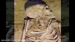 Giants humans skeletons found all over the world