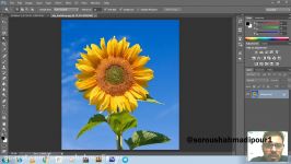 آموزش فتوشاپ قسمت پنج  زوم تول  مدرس سروش احمدی پور