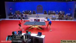 Vladimir Samsonov vs Jun Mizutani 2017 T2APAC