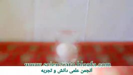 آزمایش تخم مرغ سرکه