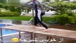 شیرجه جانانه