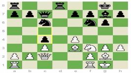 Dzindzichashvili  Member Analysis Wrong Rook