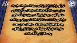 زندگی جعفر ابن ابی طالب رضی الله تعالی عنه