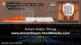 پلاگین aviram Arabic String