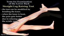 Tests For Examination Of The Lower Back  Everything You Need To Know  Dr. Nabil Ebraheim