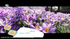 کیش زندگی  ترانه زندگی  فرهاد برنجان موسیقی 96