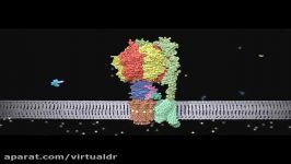 مولکول حیات بخش ATP Synthase