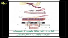 نمونه تدریس کنکوری زیست یک درس هشتم 