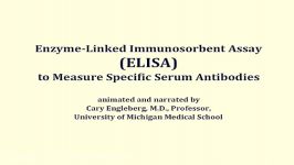 Enzyme Linked Immunosorbent Assay ELISA  Multi Lingual Captions