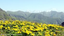 Travel Guide to Georgia the Caucasus