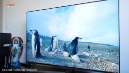 Samsung MU8000 TV  تلویزیون سامسونگ MU8000