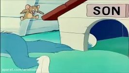 Tom and Jerry English Episodes  Love That Pup  Classic Cartoons For Kids