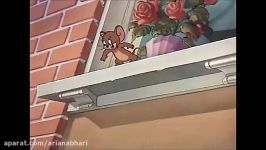 Tom and Jerry English Episodes  Casanova Cat  Classic Cartoons For Kids