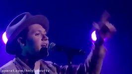 Niall Horan Slow Hands The Voice