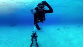 360° Great Hammerhead Shark Encounter  National Geographic