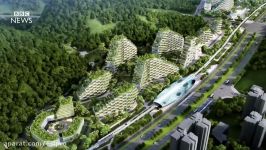 Chinas first forest city  BBC News