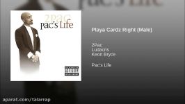 Playa Cardz Right Male