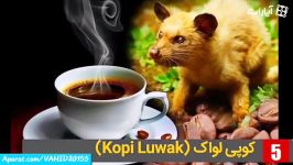 14 نوع عجیب ترین چندش ترین غذاهای دنیا