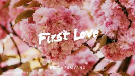 BTS Suga 방탄소년단  First Love  Piano Cover