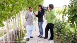 مصاحبه ویژه  شبکه خنده  قسمت بیست پنجم Special Interview  Shabake Khanda  Episode 25