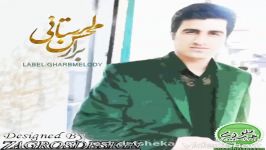 Mohsen Lorestani  Berar 2017 آهنگ جدید محسن لرستانی به نام برار