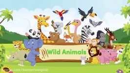 حیوانات وحشی به زبان انگلیسی   Wild Animals