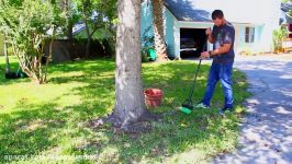 Picking Up Sweet Gum Balls With The Stab A Nut