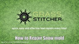 How to  Plant grass seed to repair winter grass damage