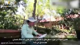 فیلمی کوتاه درباره زندگی خصوصی علمی مریم میرزاخانی