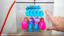 What Happens When You Put Eggs Filled With Peeps In a Vacuum Chamber Will They Hatch