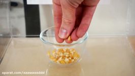 What Happens When You Put Popcorn Kernels in a Vacuum Chamber Will They Pop